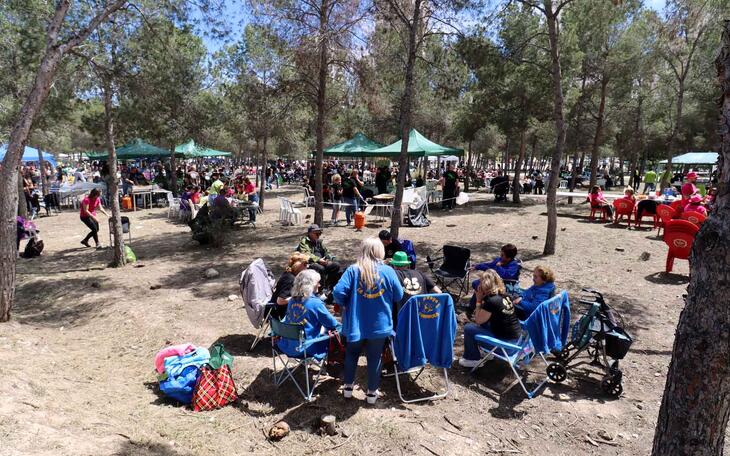 Los peñistas de Benidorm celebran este domingo el ‘Dia de la Mona’ en el Parc de la Séquia Mare